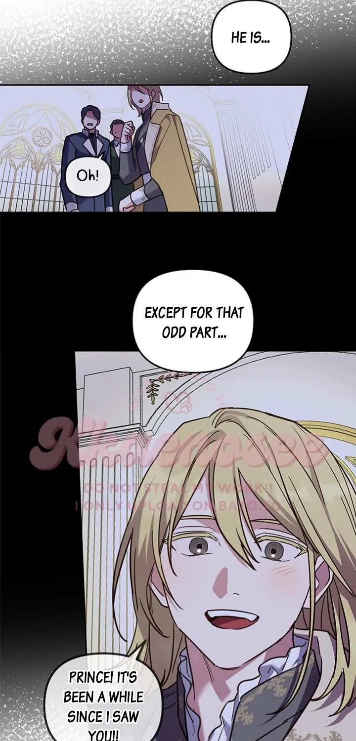 Read Cat in the Chrysalis chapter 55 image 33 on Lezhin