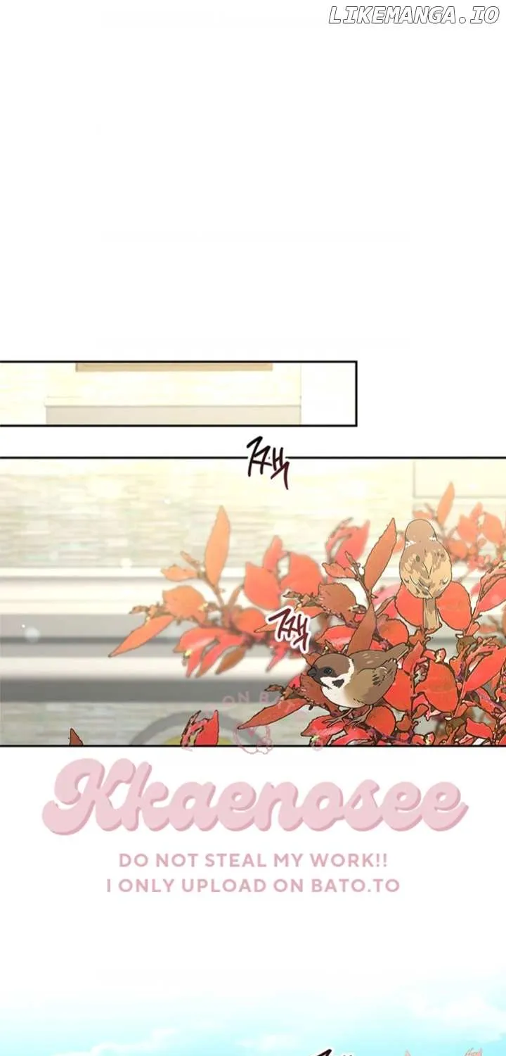 Read Cat in the Chrysalis chapter 55 image 56 on Lezhin