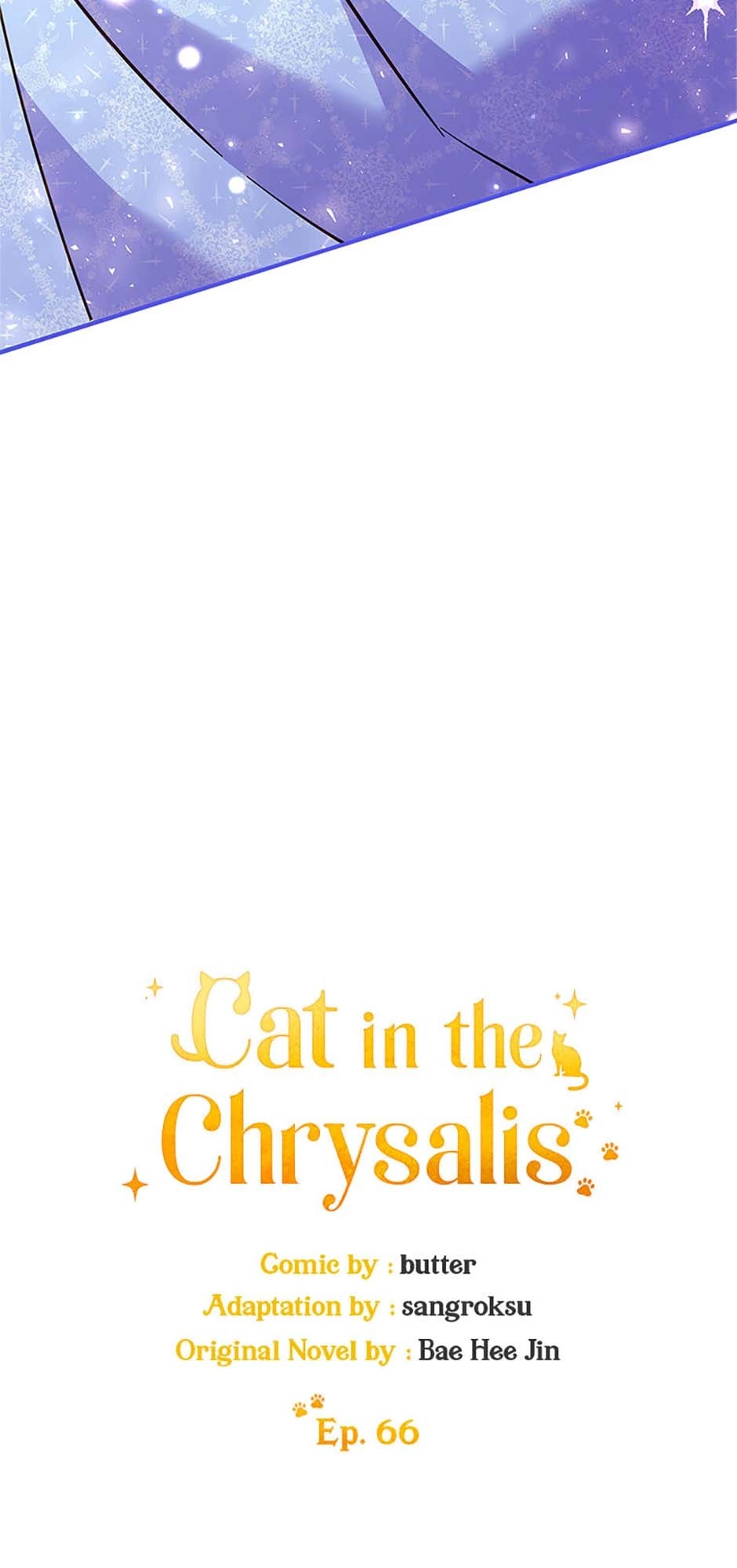 Read Cat in the Chrysalis chapter 66 image 12 on Lezhin