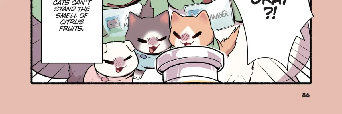 Read Cat Massage Therapy (Colored) chapter 25 image 15 on Lezhin