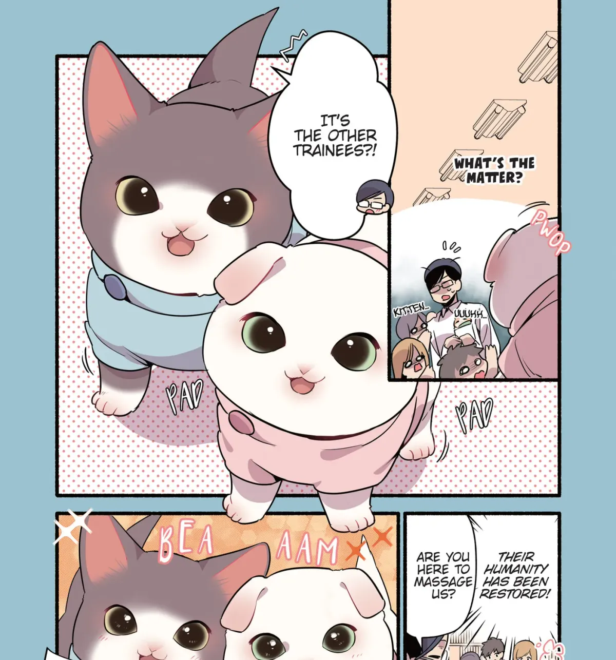 Read Cat Massage Therapy (Colored) chapter 36 image 12 on Lezhin