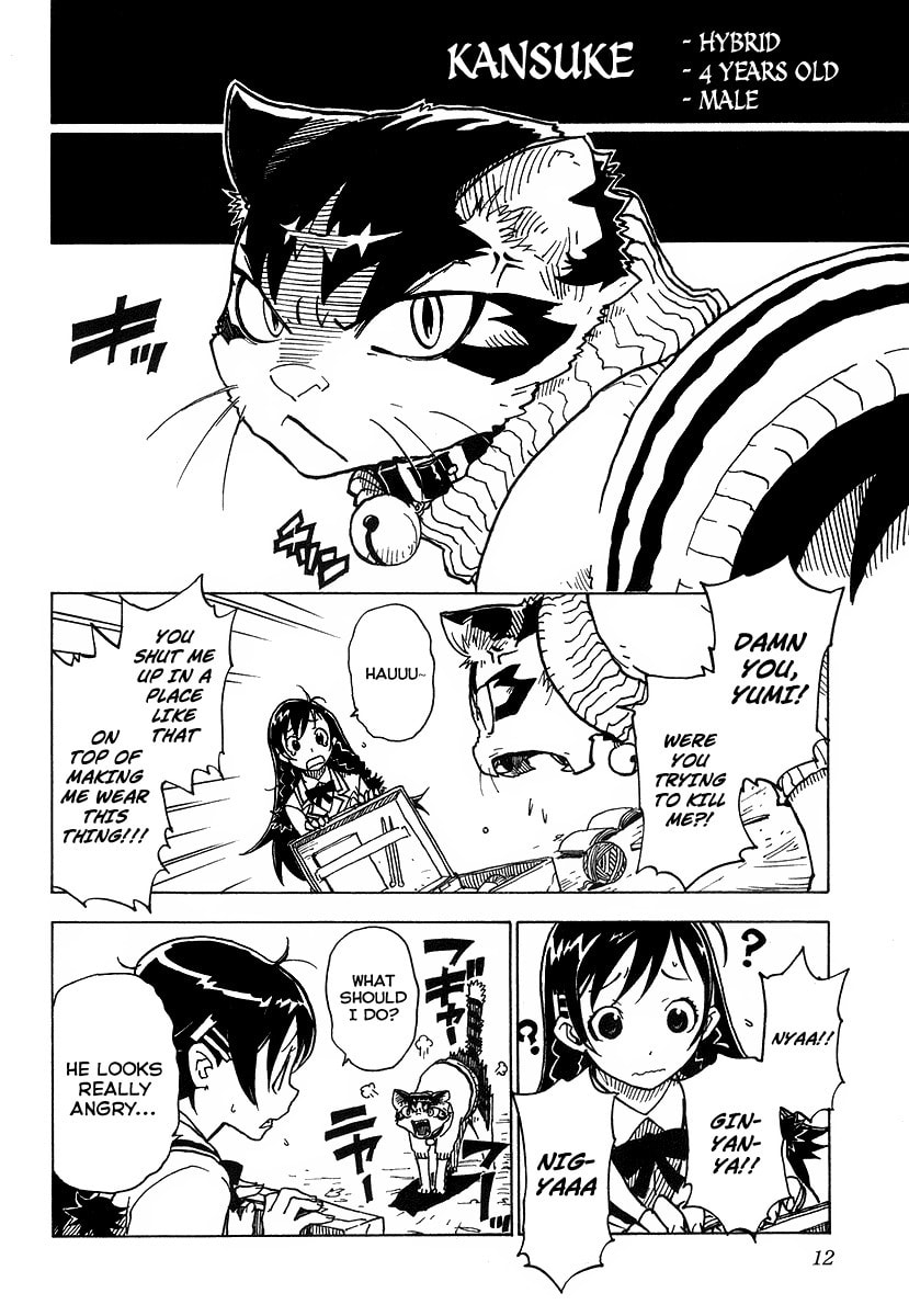Read Cat Paradise chapter 1 image 12 on Lezhin