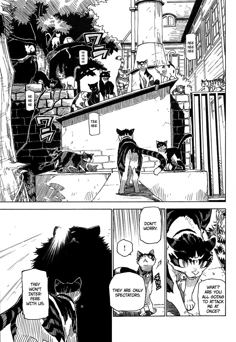 Read Cat Paradise chapter 1 image 31 on Lezhin
