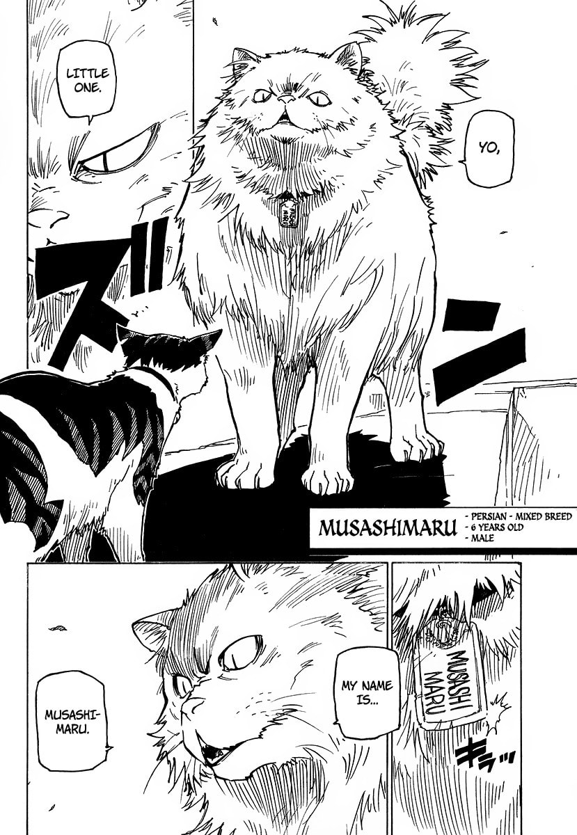 Read Cat Paradise chapter 1 image 32 on Lezhin