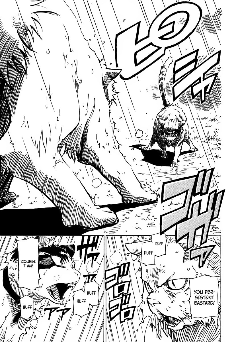 Read Cat Paradise chapter 1 image 39 on Lezhin