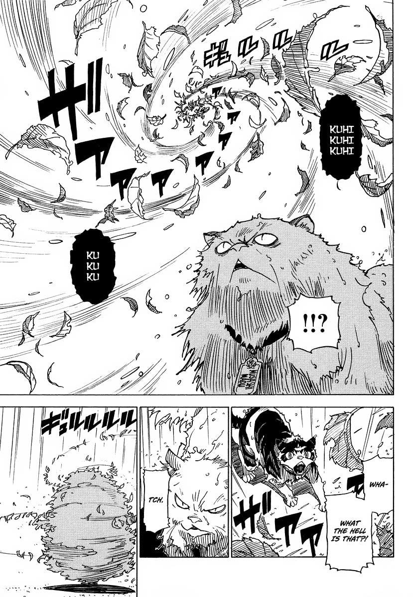 Read Cat Paradise chapter 1 image 41 on Lezhin