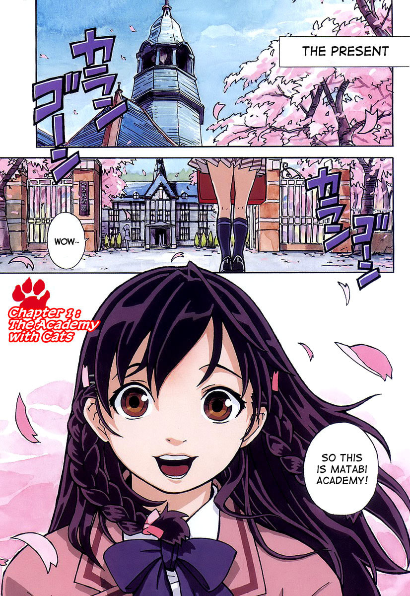 Read Cat Paradise chapter 1 image 8 on Lezhin