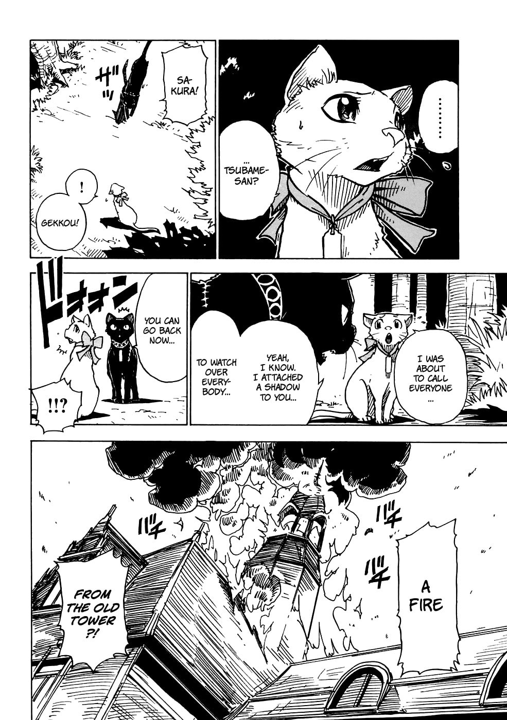 Read Cat Paradise chapter 16 image 27 on Lezhin