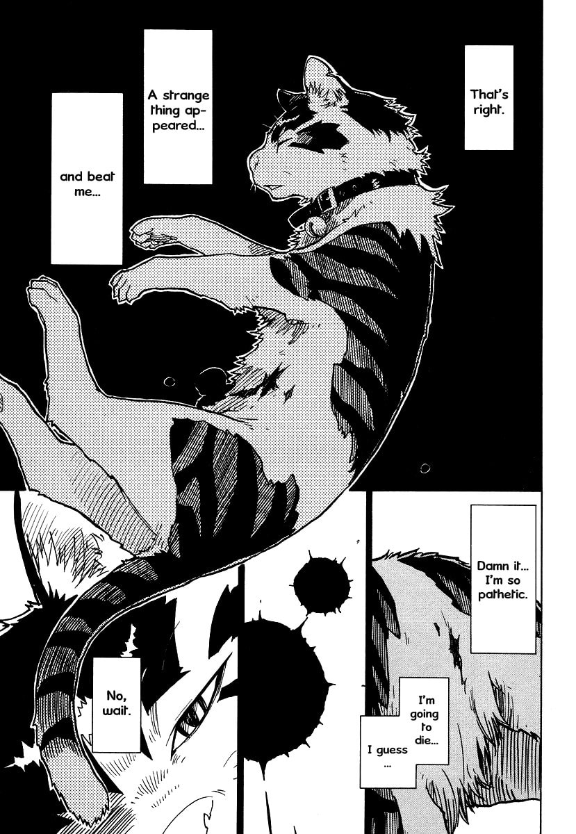 Read Cat Paradise chapter 2 image 11 on Lezhin