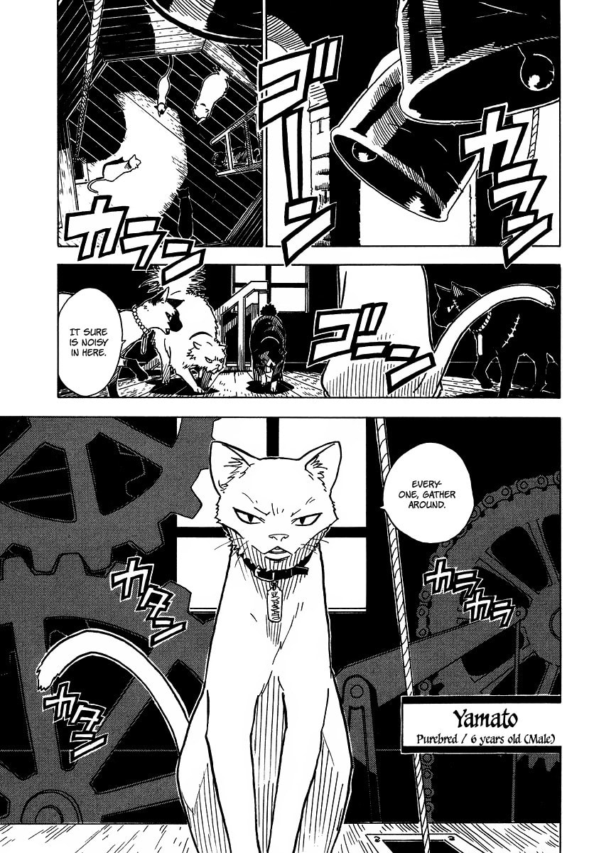 Read Cat Paradise chapter 3 image 6 on Lezhin