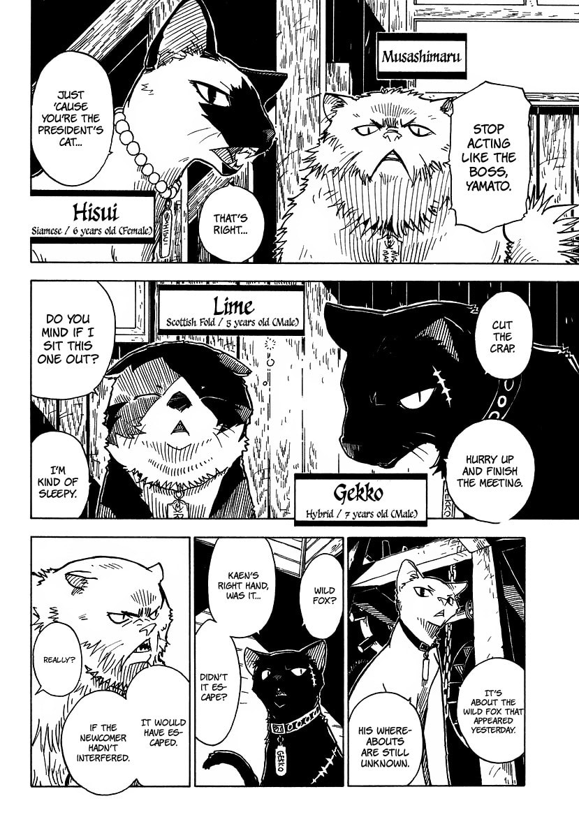 Read Cat Paradise chapter 3 image 7 on Lezhin