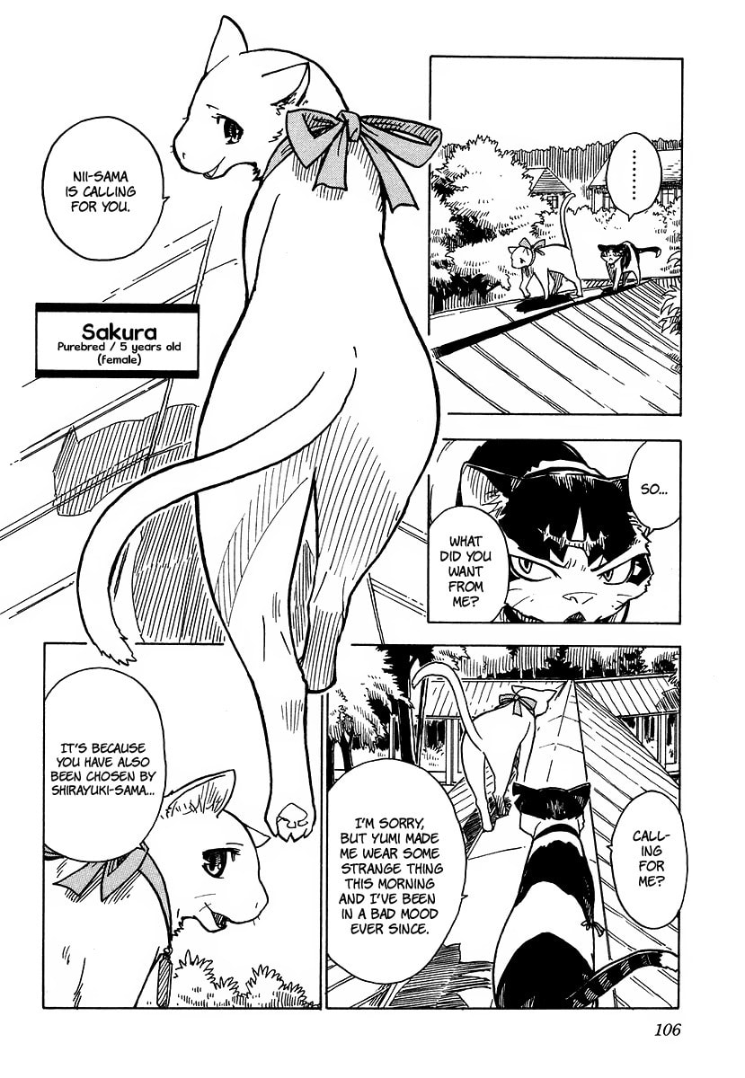 Read Cat Paradise chapter 3 image 9 on Lezhin