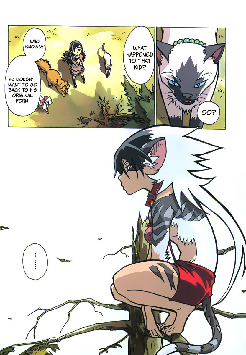 Read Cat Paradise chapter 6 image 8 on Lezhin