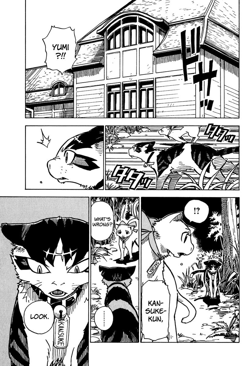 Read Cat Paradise chapter 7 image 19 on Lezhin