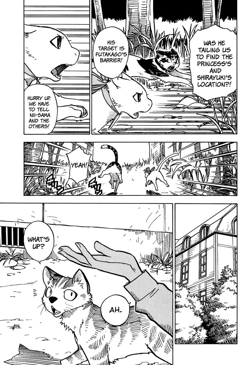 Read Cat Paradise chapter 7 image 7 on Lezhin