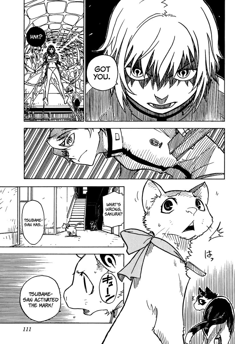 Read Cat Paradise chapter 9 image 8 on Lezhin