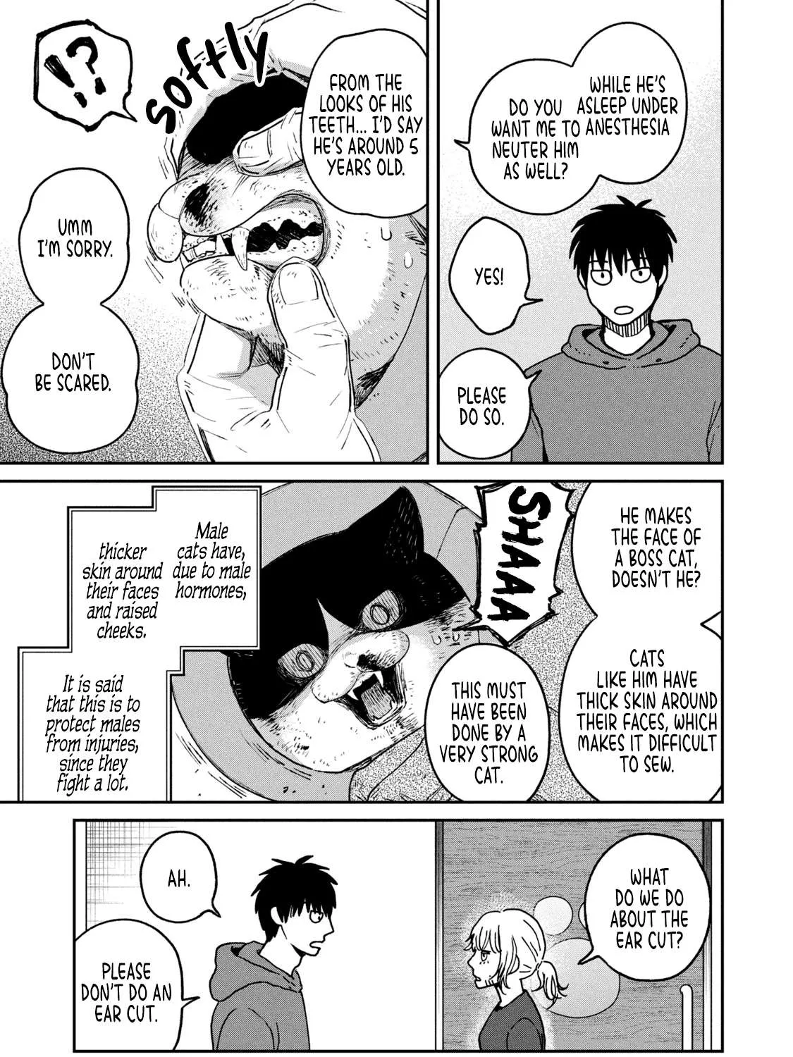 Read Cat Partners: Maruru And Hachi chapter 13 image 10 on Lezhin