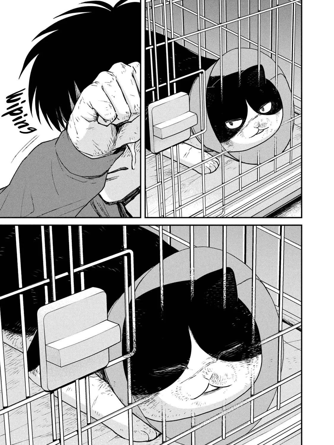 Read Cat Partners: Maruru And Hachi chapter 13 image 18 on Lezhin