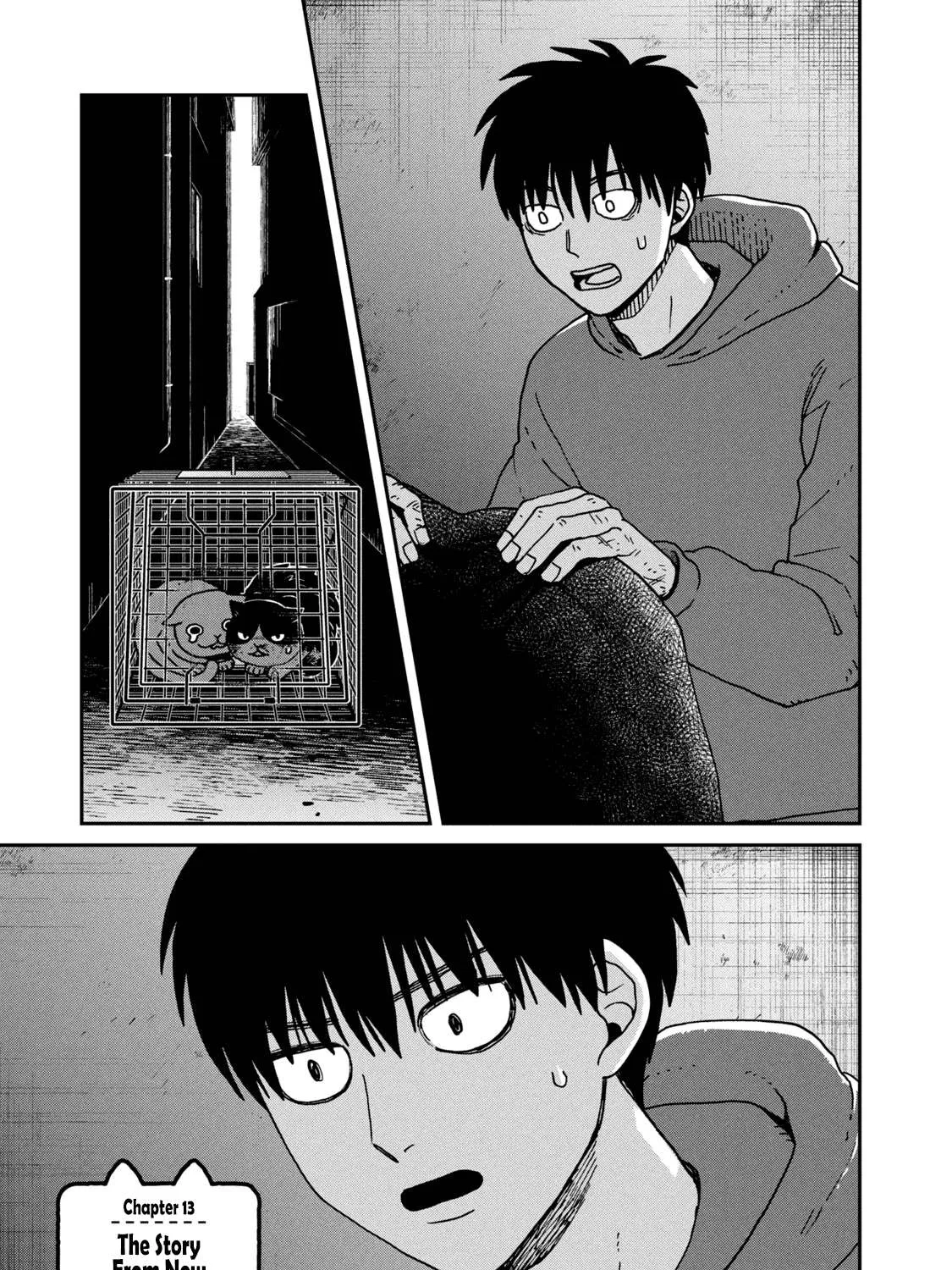 Read Cat Partners: Maruru And Hachi chapter 13 image 2 on Lezhin