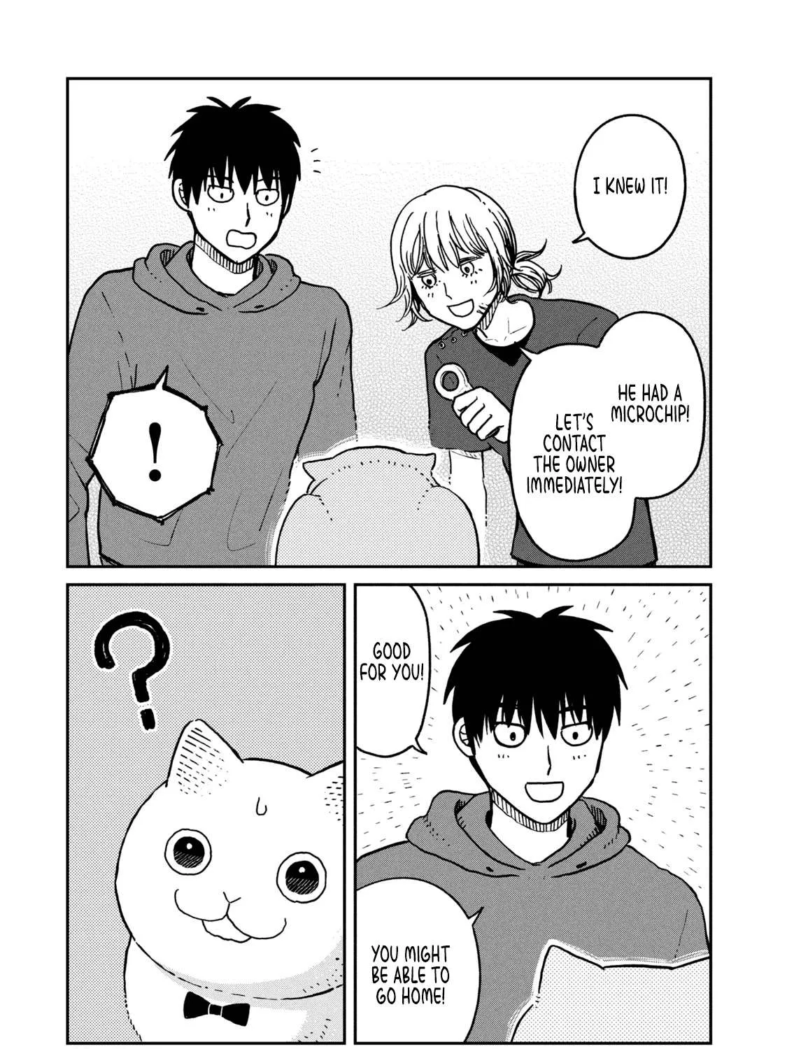 Read Cat Partners: Maruru And Hachi chapter 13 image 22 on Lezhin