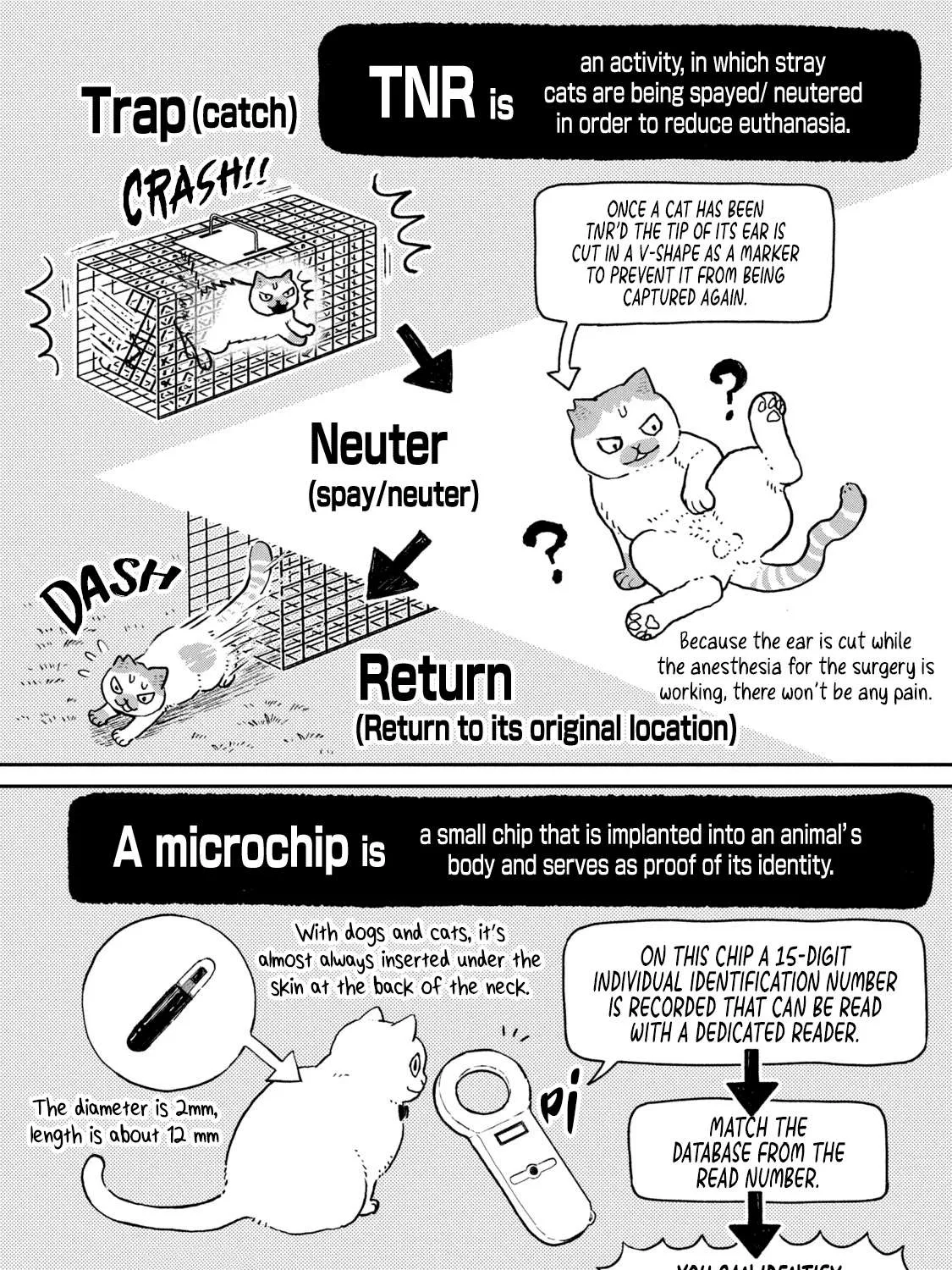 Read Cat Partners: Maruru And Hachi chapter 13 image 24 on Lezhin