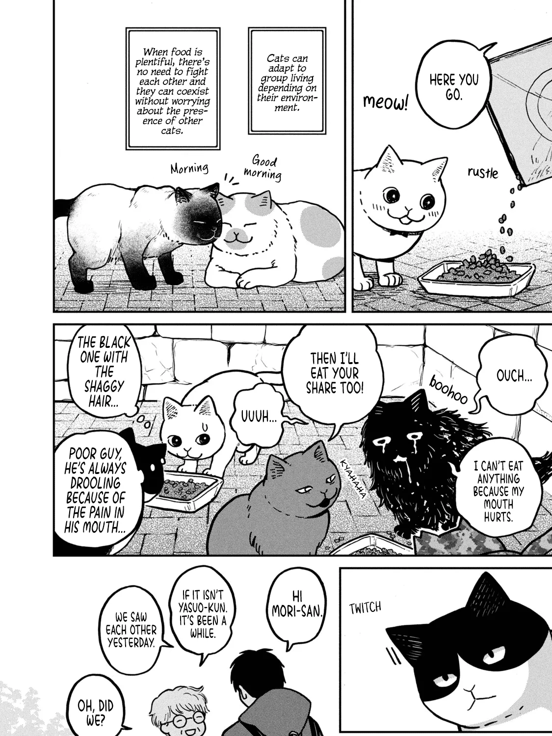 Read Cat Partners: Maruru And Hachi chapter 2 image 7 on Lezhin
