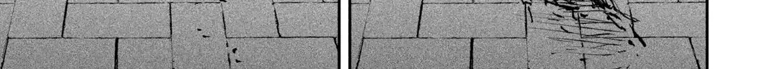 Read Cat Partners: Maruru And Hachi chapter 21 image 14 on Lezhin