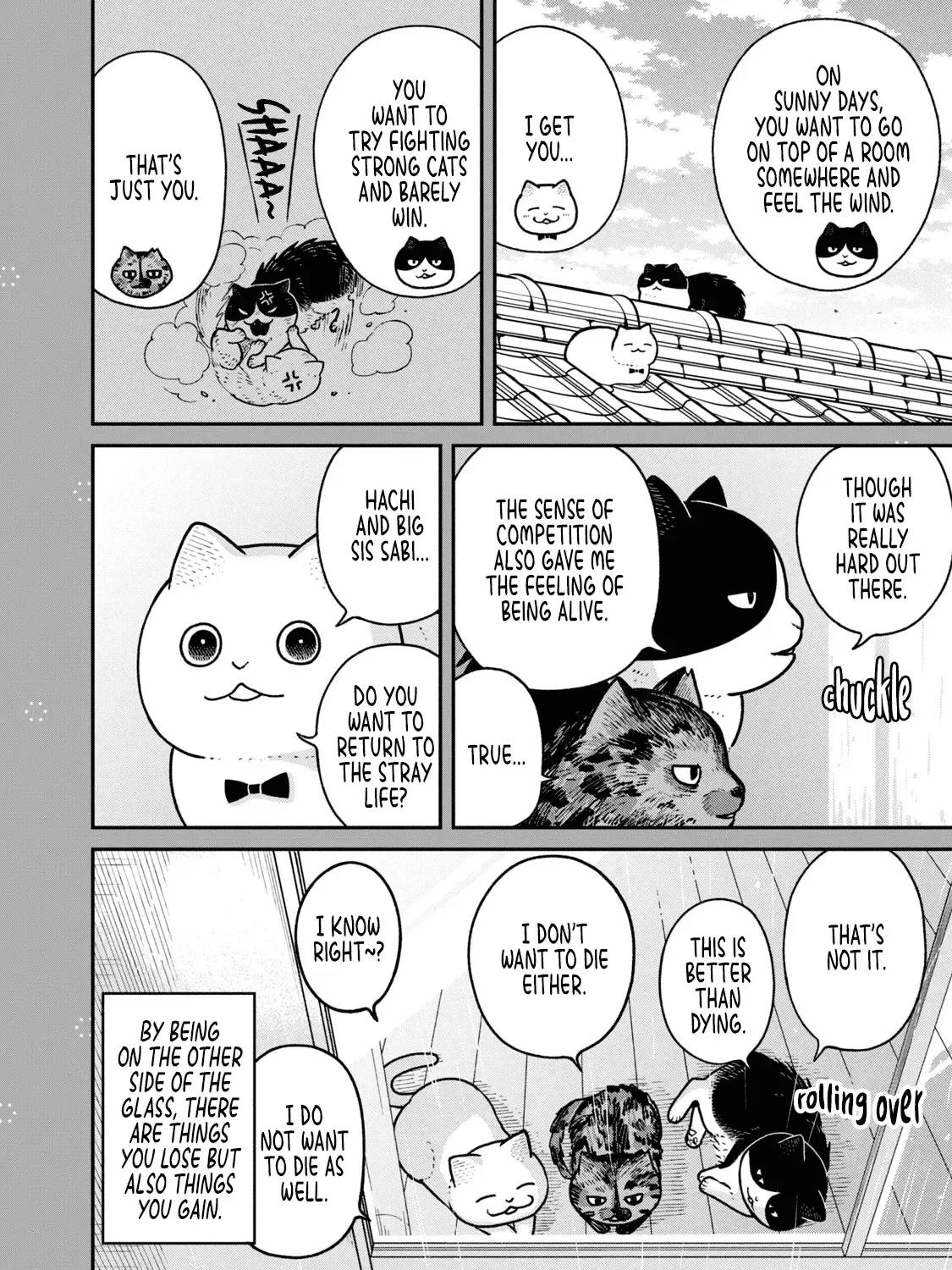 Read Cat Partners: Maruru And Hachi chapter 22.2 image 2 on Lezhin