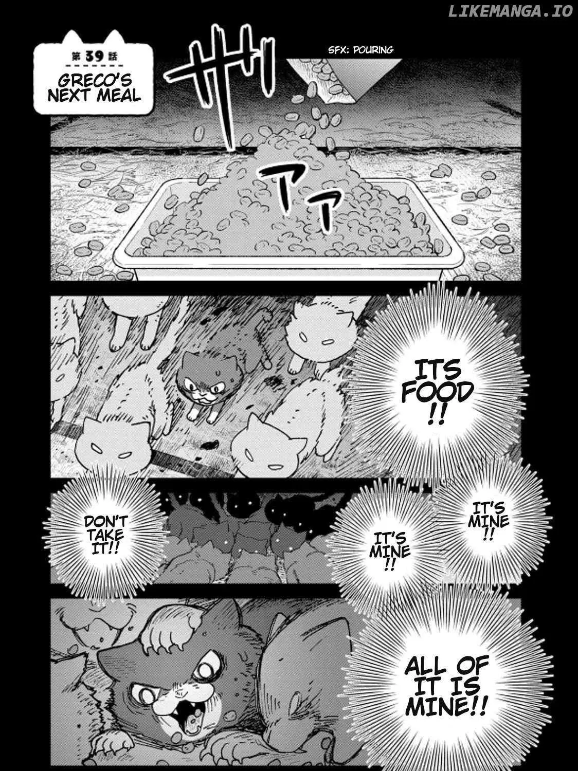 Read Cat Partners: Maruru And Hachi chapter 39 image 1 on Lezhin