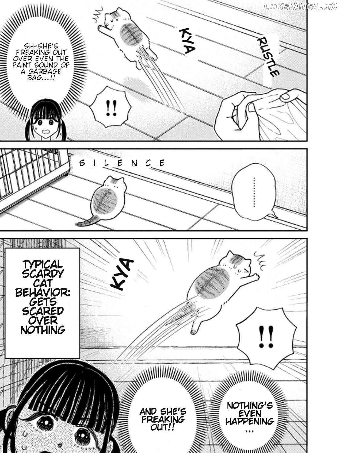 Read Cat Partners: Maruru And Hachi chapter 39 image 17 on Lezhin