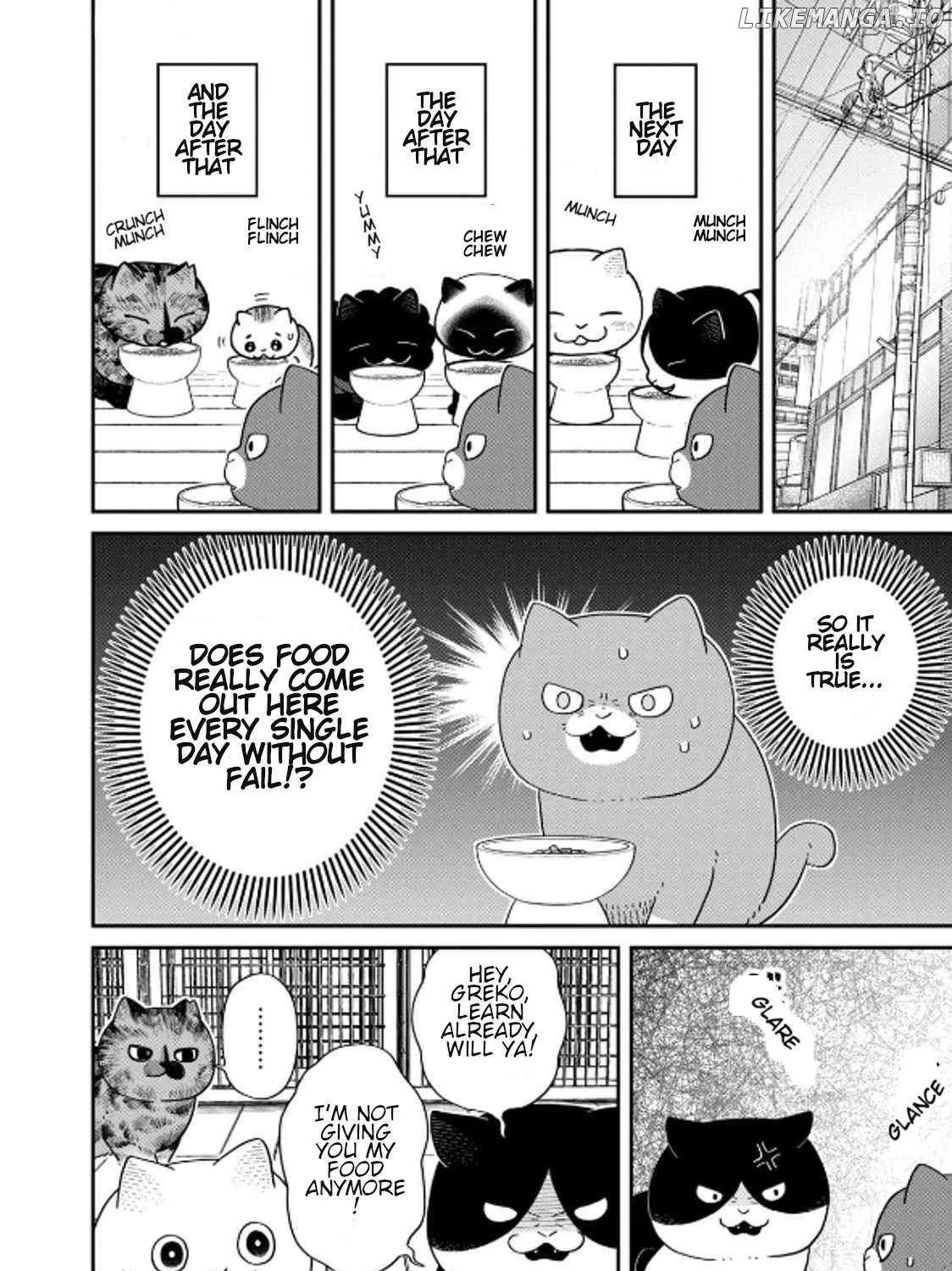 Read Cat Partners: Maruru And Hachi chapter 39 image 19 on Lezhin