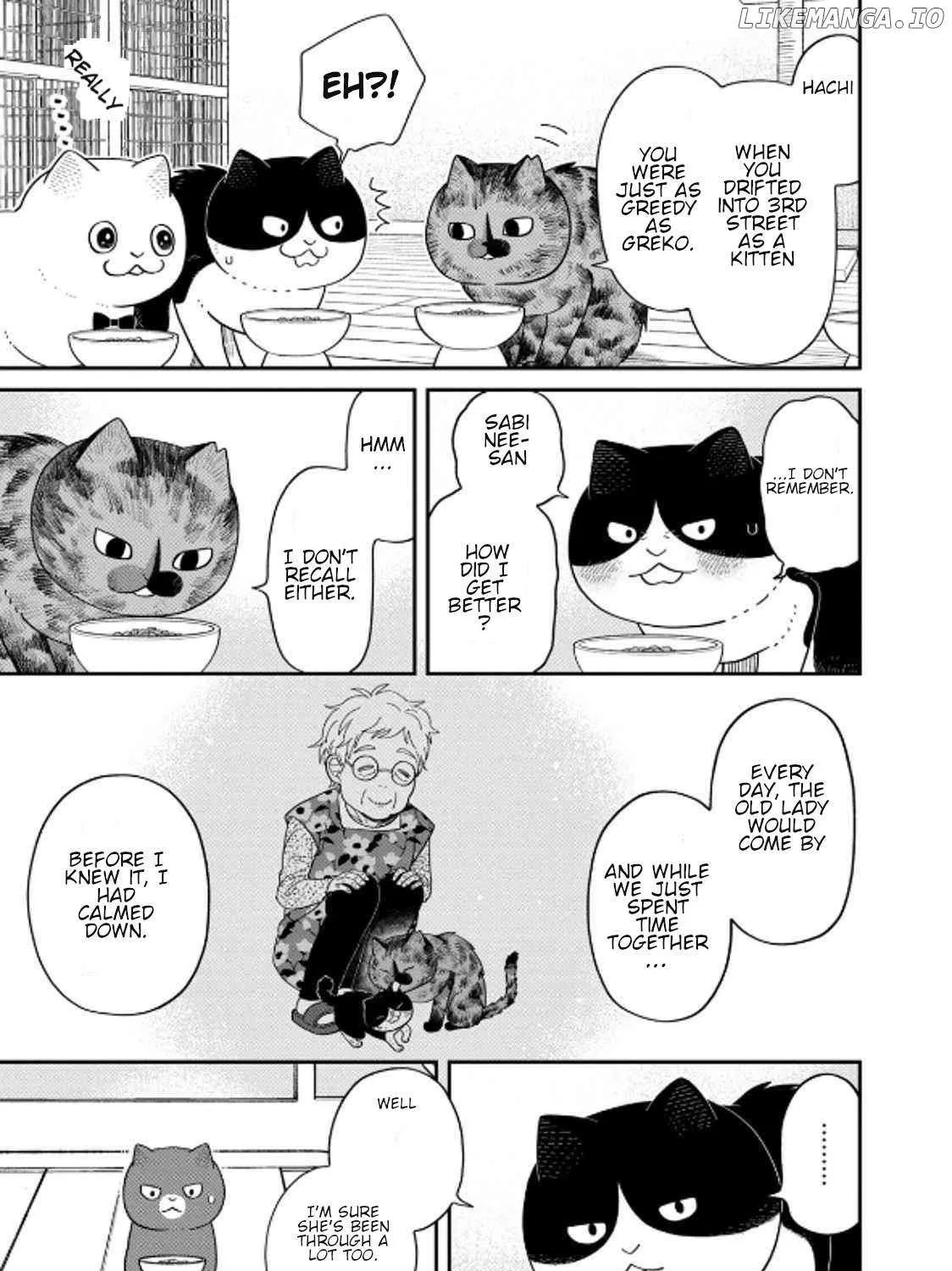 Read Cat Partners: Maruru And Hachi chapter 39 image 21 on Lezhin