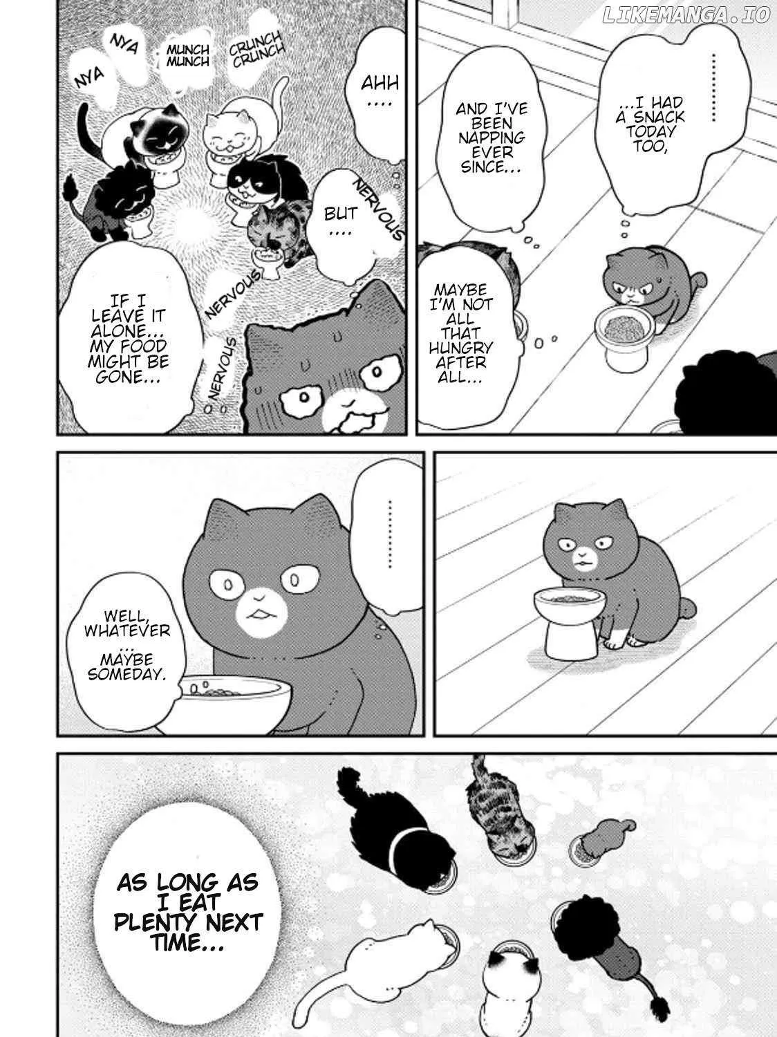 Read Cat Partners: Maruru And Hachi chapter 39 image 23 on Lezhin