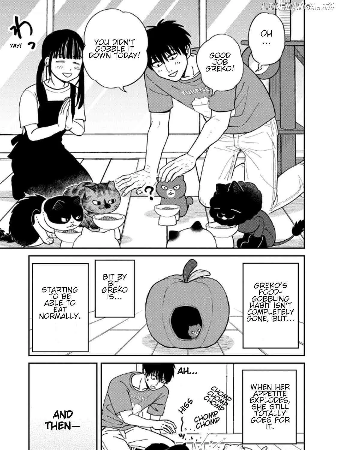 Read Cat Partners: Maruru And Hachi chapter 39 image 25 on Lezhin