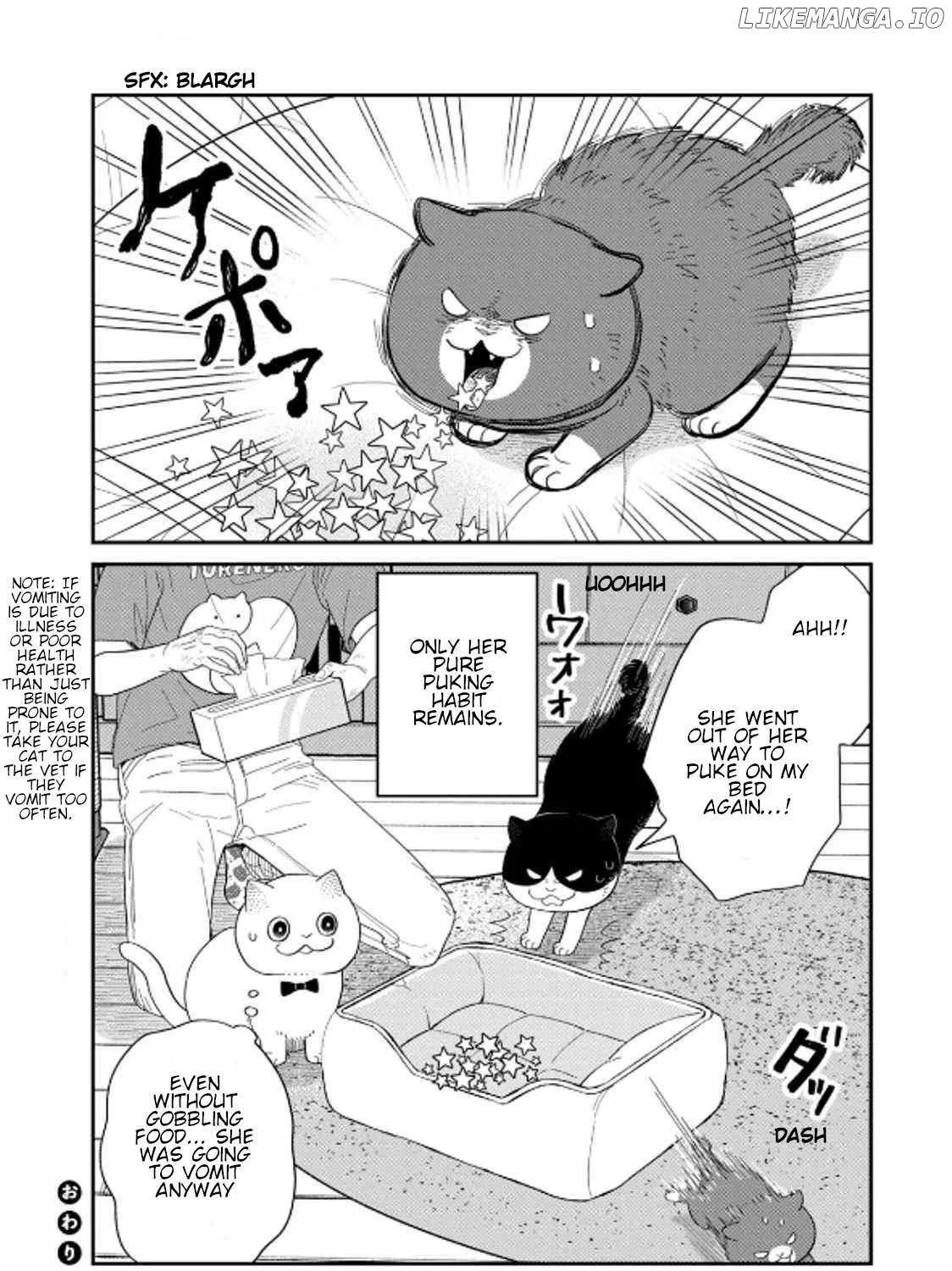 Read Cat Partners: Maruru And Hachi chapter 39 image 27 on Lezhin