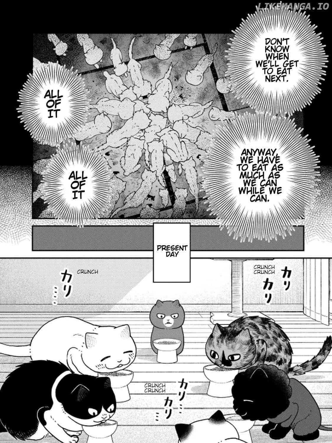 Read Cat Partners: Maruru And Hachi chapter 39 image 3 on Lezhin
