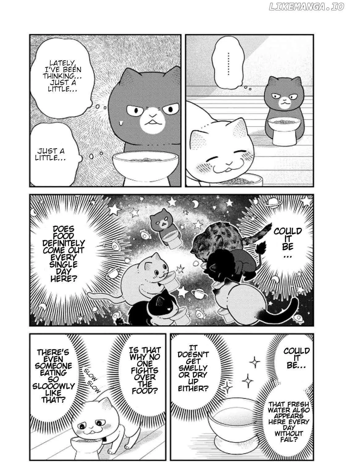 Read Cat Partners: Maruru And Hachi chapter 39 image 5 on Lezhin