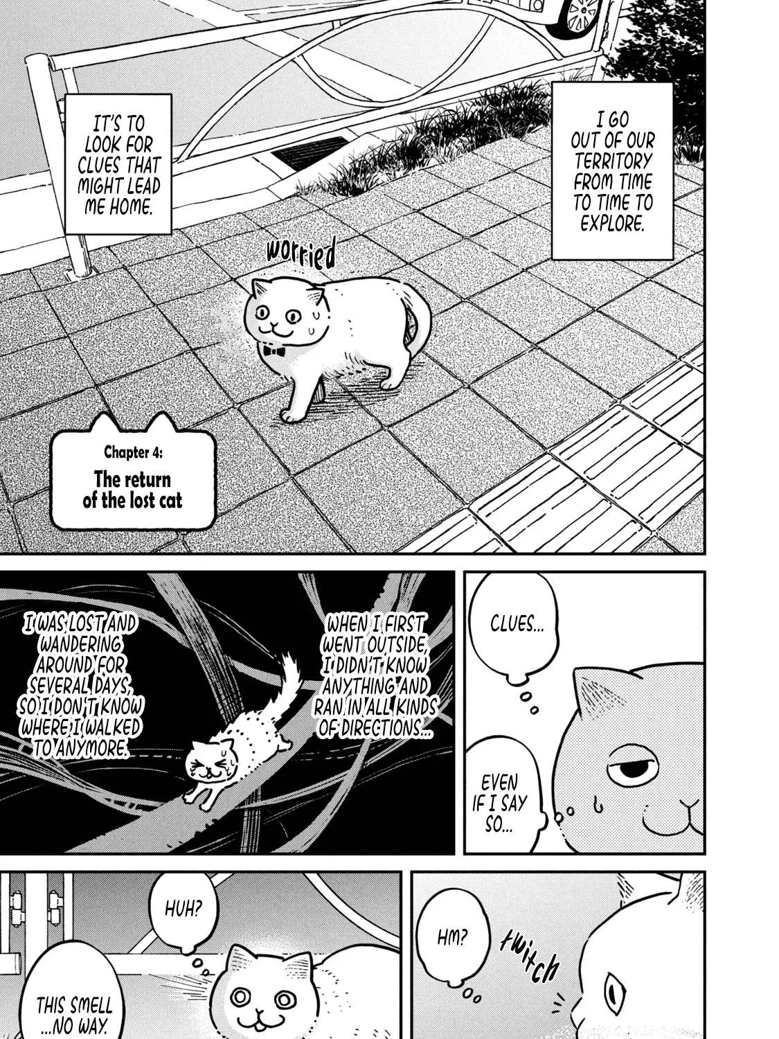 Read Cat Partners: Maruru And Hachi chapter 4 image 2 on Lezhin