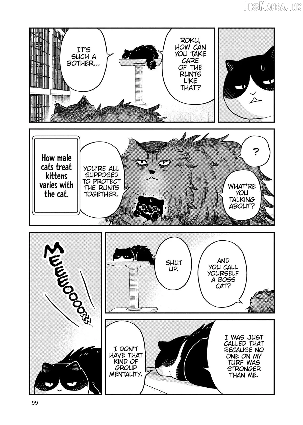 Read Cat Partners: Maruru And Hachi chapter 49 image 2 on Lezhin