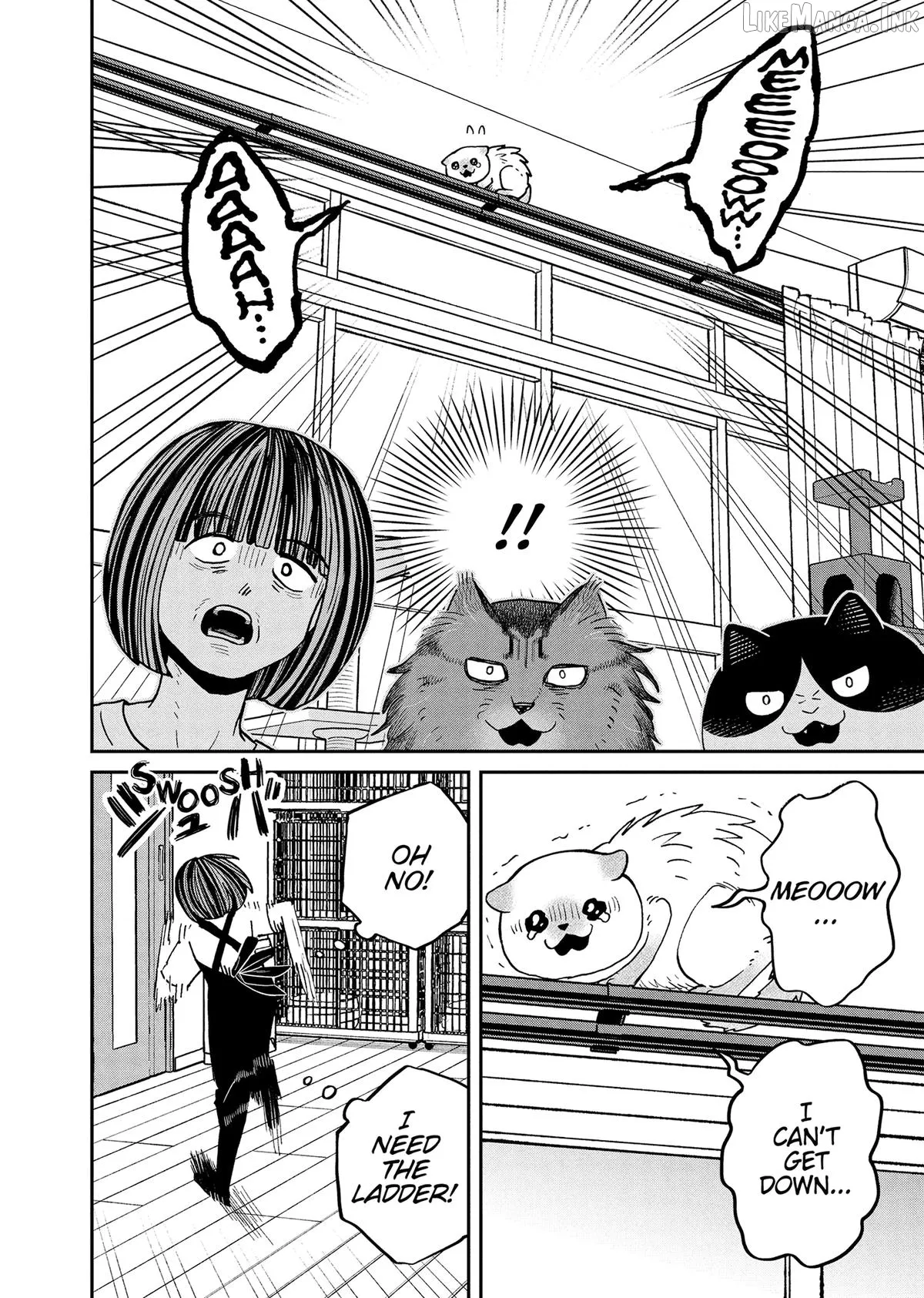 Read Cat Partners: Maruru And Hachi chapter 49 image 3 on Lezhin
