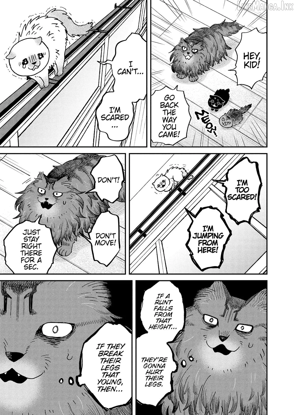 Read Cat Partners: Maruru And Hachi chapter 49 image 4 on Lezhin