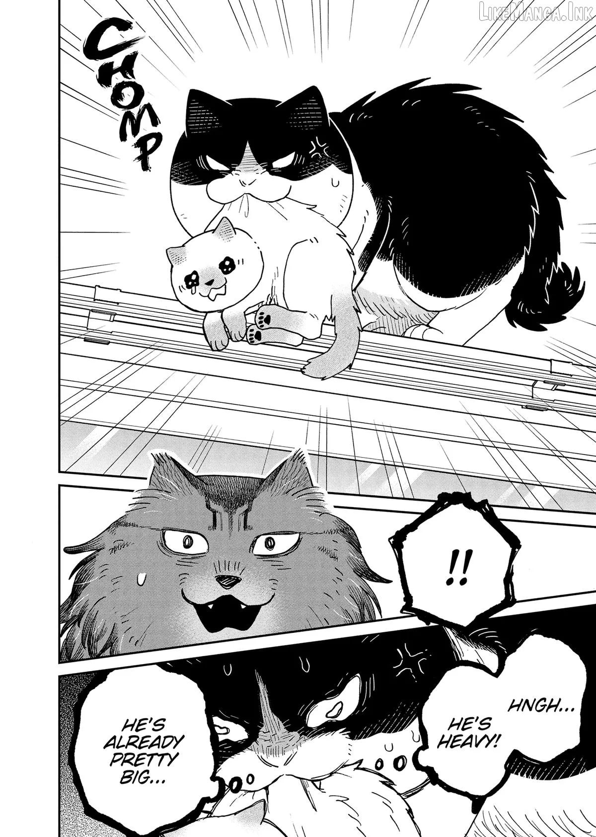 Read Cat Partners: Maruru And Hachi chapter 49 image 5 on Lezhin