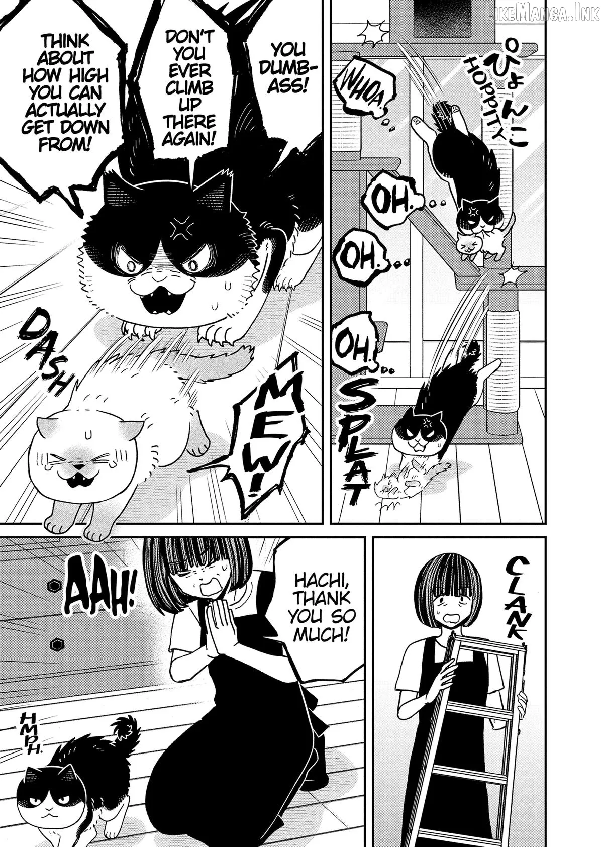 Read Cat Partners: Maruru And Hachi chapter 49 image 6 on Lezhin