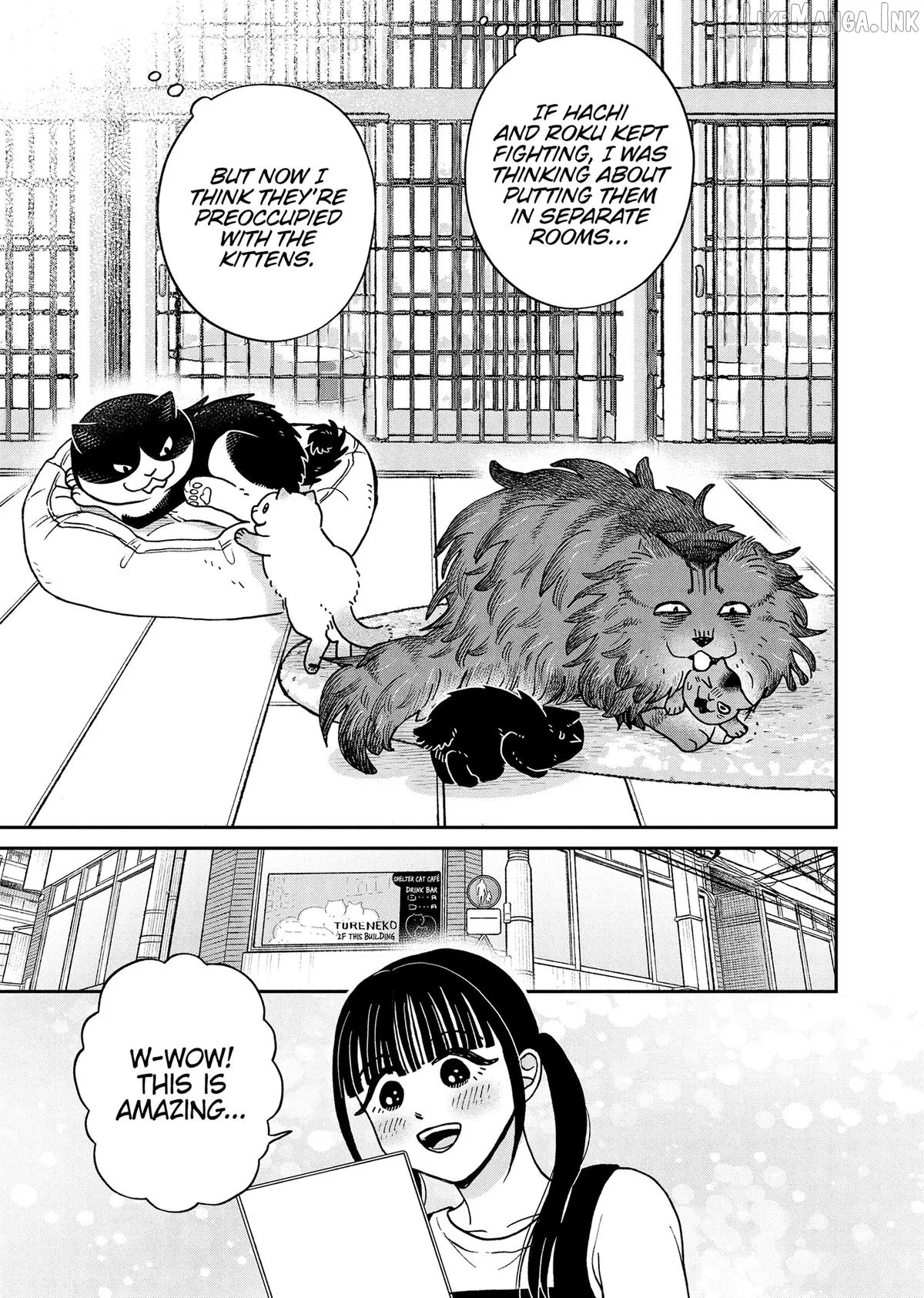Read Cat Partners: Maruru And Hachi chapter 49 image 8 on Lezhin