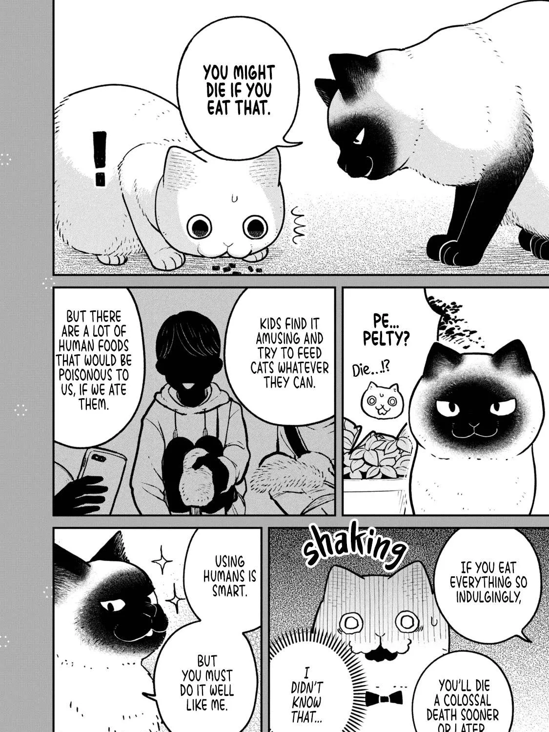 Read Cat Partners: Maruru And Hachi chapter 9.2 image 3 on Lezhin