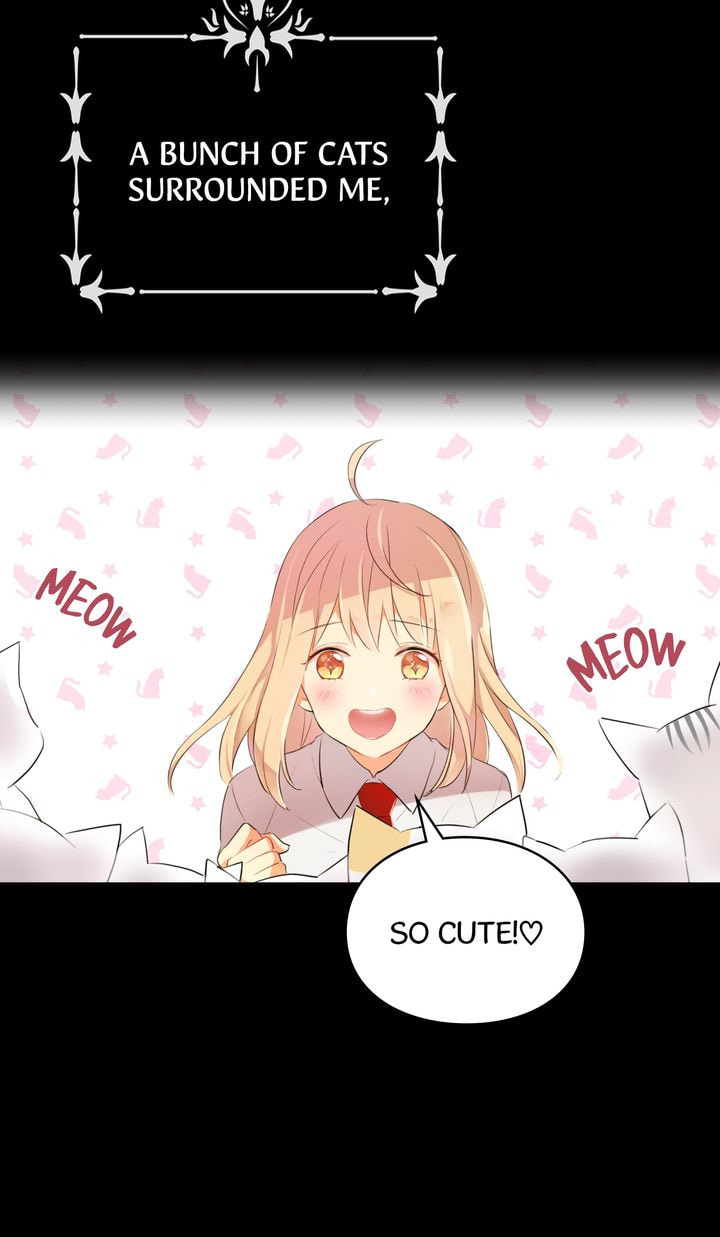 Read Cat