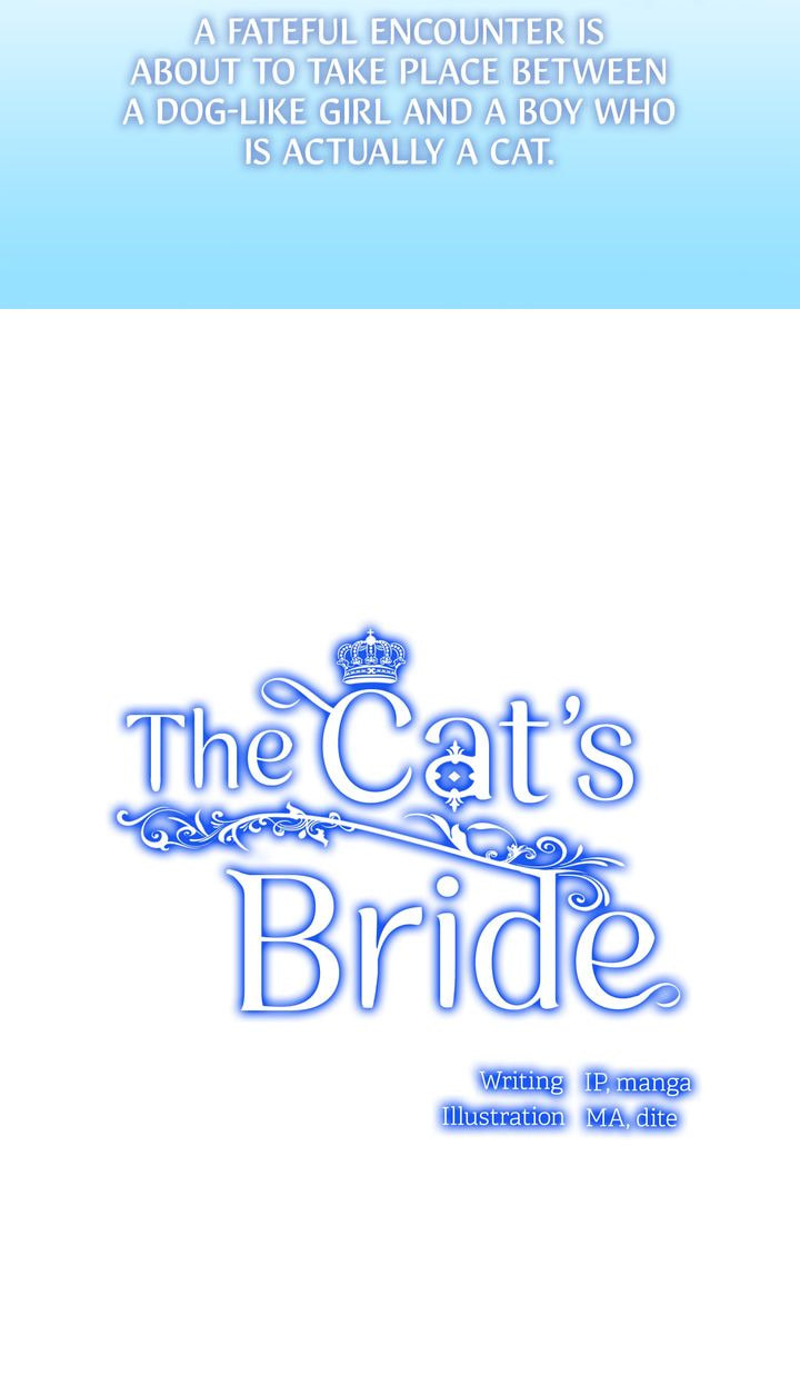 Read Cat