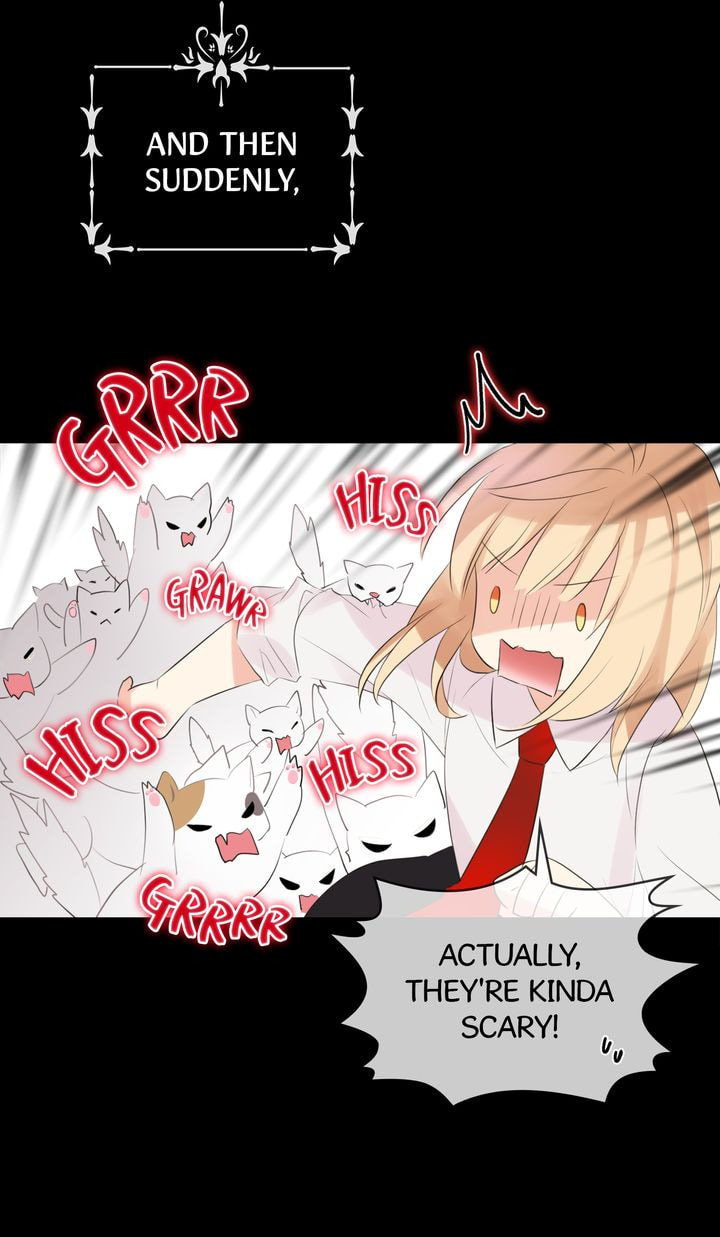 Read Cat