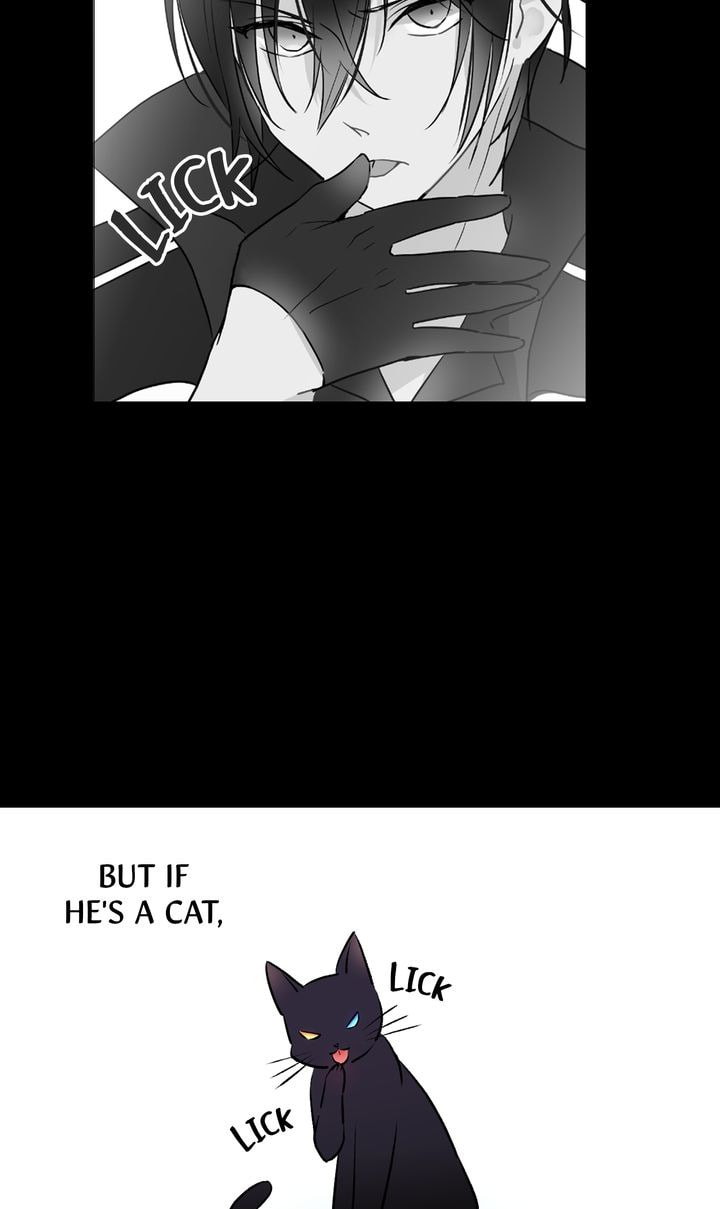 Read Cat
