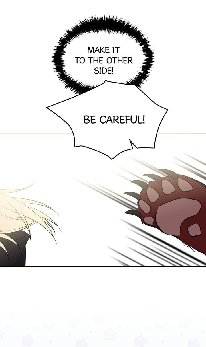 Read Cat